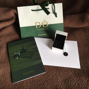 Pandora Bag & Charm Box
